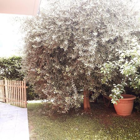 Beb Ulivo Acomodação com café da manhã Santa Giuletta Exterior foto